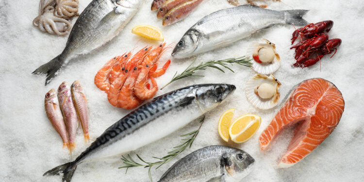 Sea Food – How to Serve Seafood