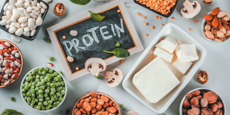 Proteins in the Body – Why Should You Care About Them?
