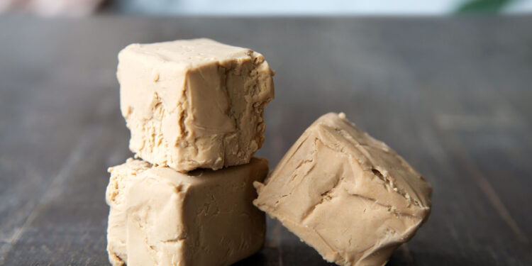 Why Fresh Yeast Is So Important in Baking